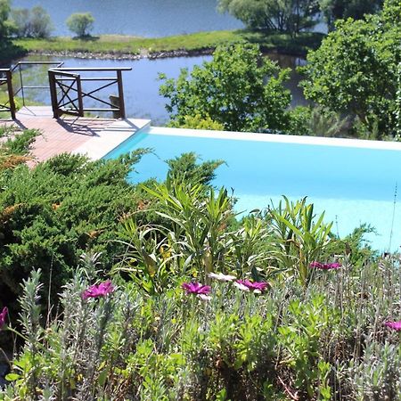 "Bouca Drigues" Casa Antiga De Pedra Com Piscina E Vista Rio Βίλα Amarante Εξωτερικό φωτογραφία