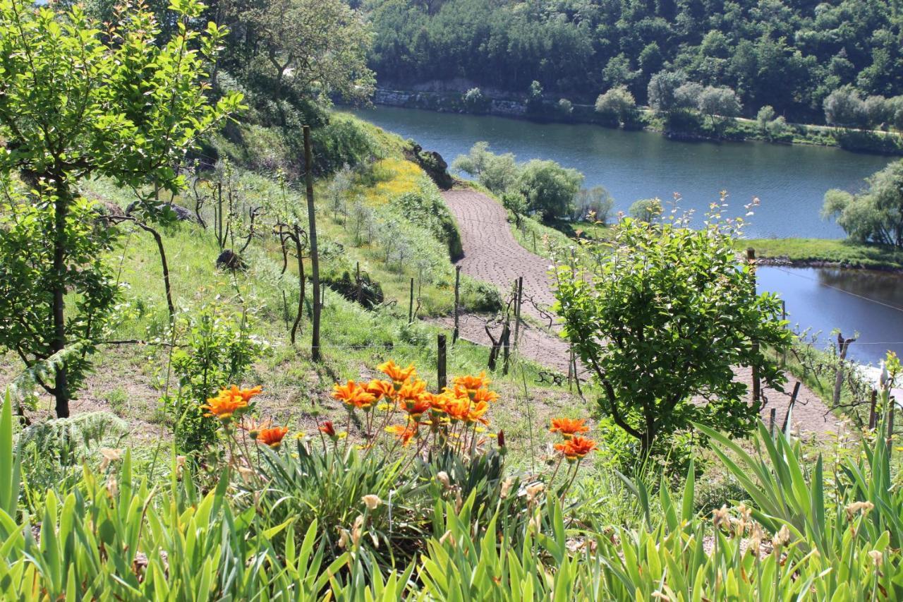 "Bouca Drigues" Casa Antiga De Pedra Com Piscina E Vista Rio Βίλα Amarante Εξωτερικό φωτογραφία