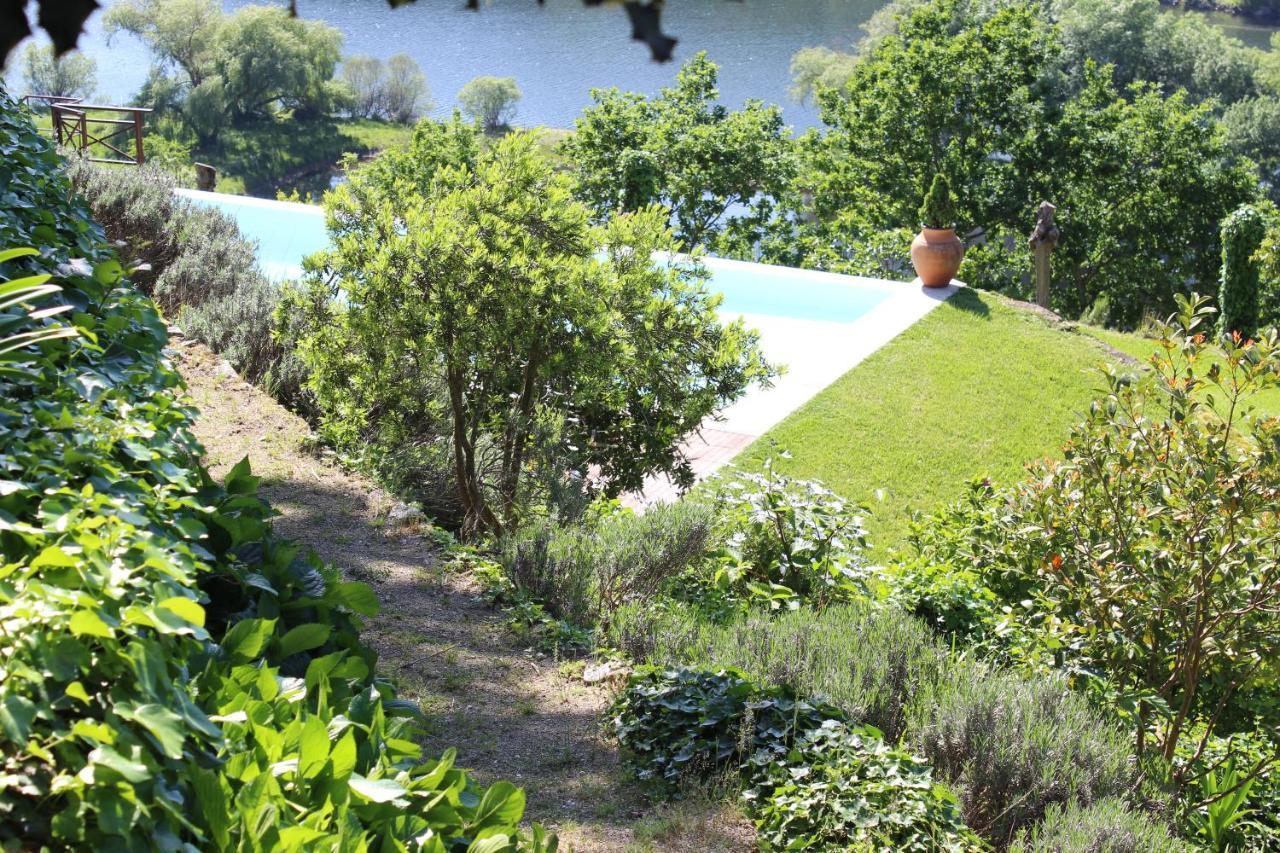"Bouca Drigues" Casa Antiga De Pedra Com Piscina E Vista Rio Βίλα Amarante Εξωτερικό φωτογραφία