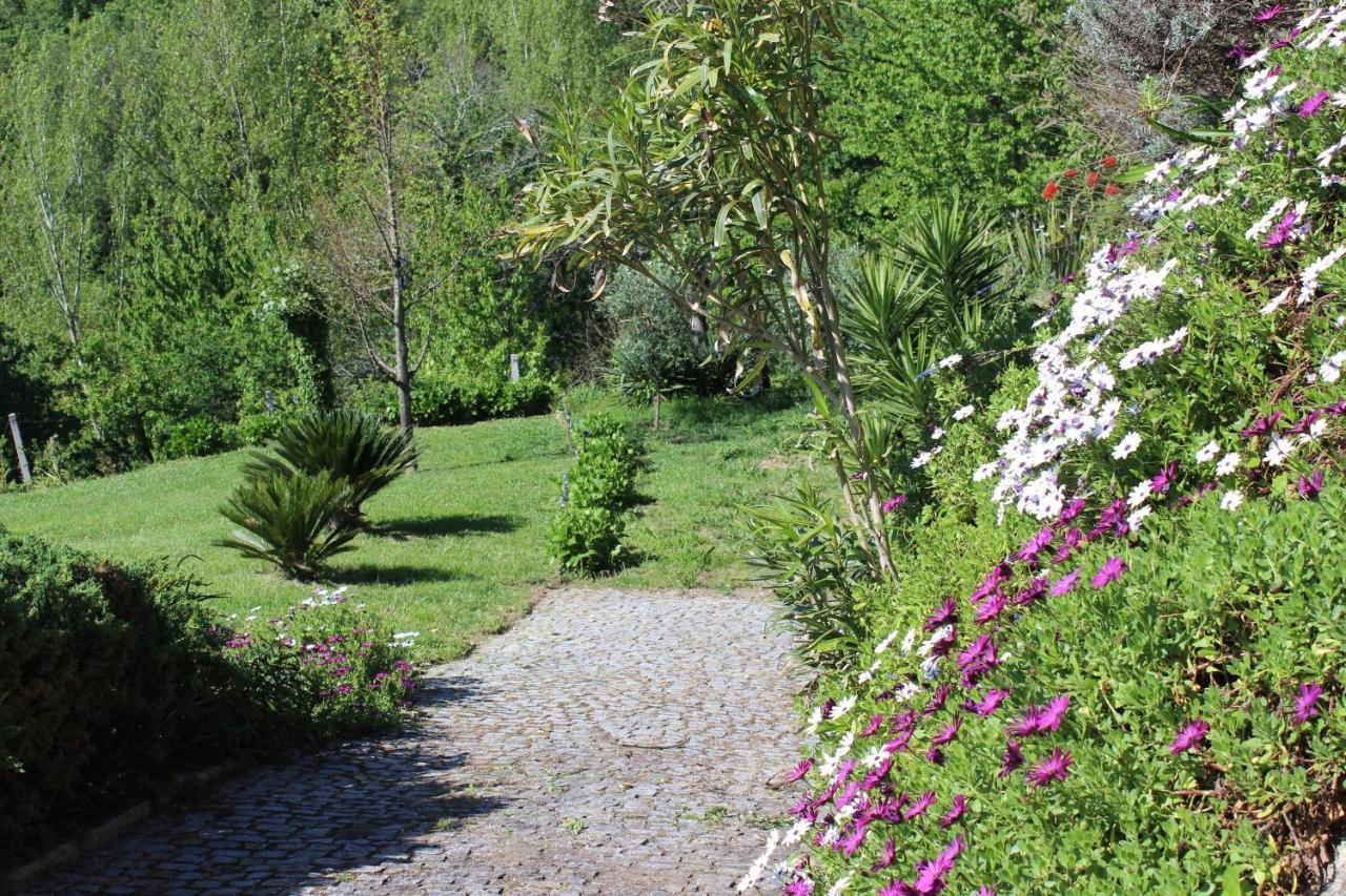"Bouca Drigues" Casa Antiga De Pedra Com Piscina E Vista Rio Βίλα Amarante Εξωτερικό φωτογραφία