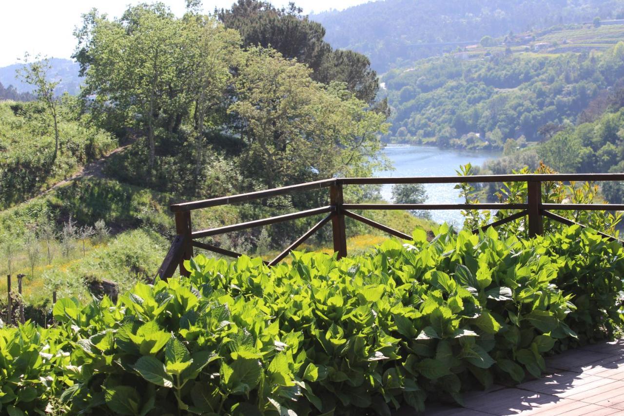 "Bouca Drigues" Casa Antiga De Pedra Com Piscina E Vista Rio Βίλα Amarante Εξωτερικό φωτογραφία