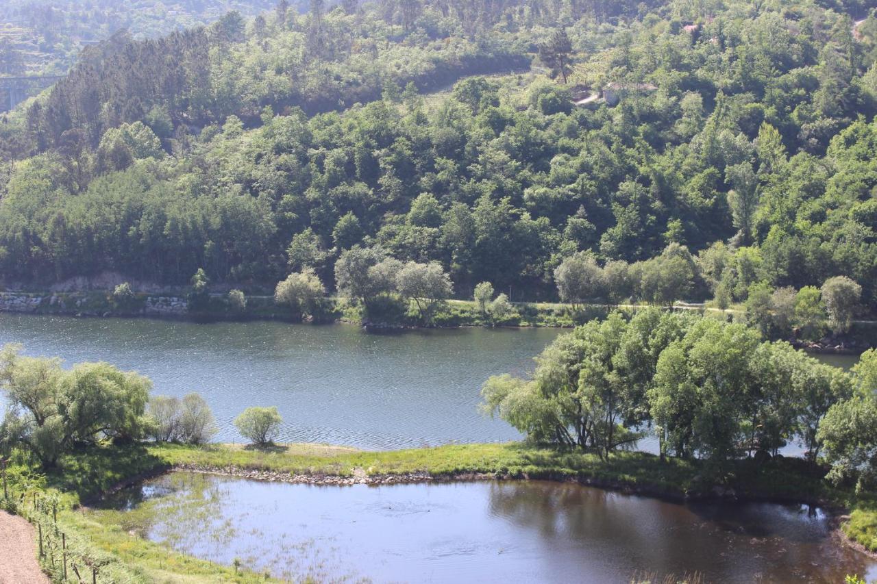"Bouca Drigues" Casa Antiga De Pedra Com Piscina E Vista Rio Βίλα Amarante Εξωτερικό φωτογραφία