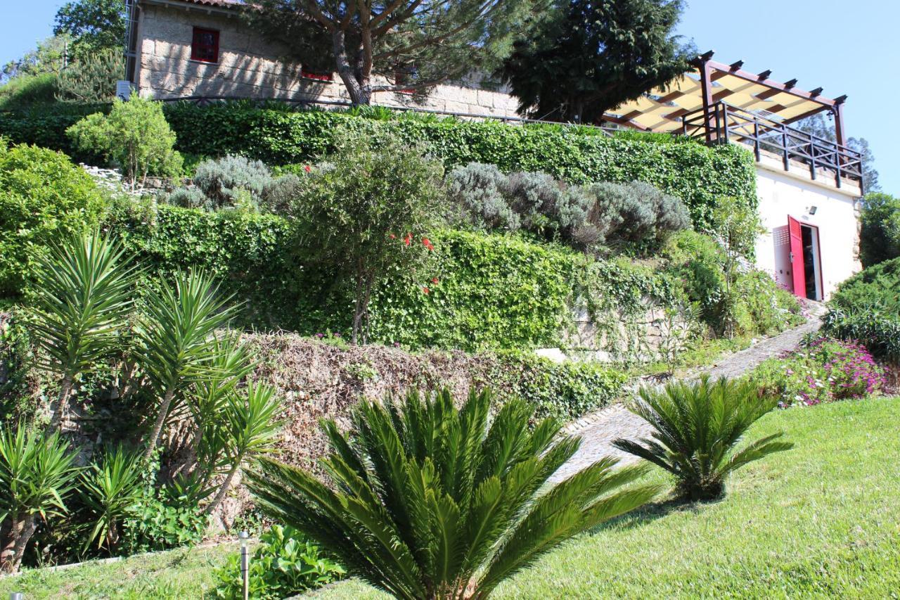 "Bouca Drigues" Casa Antiga De Pedra Com Piscina E Vista Rio Βίλα Amarante Εξωτερικό φωτογραφία