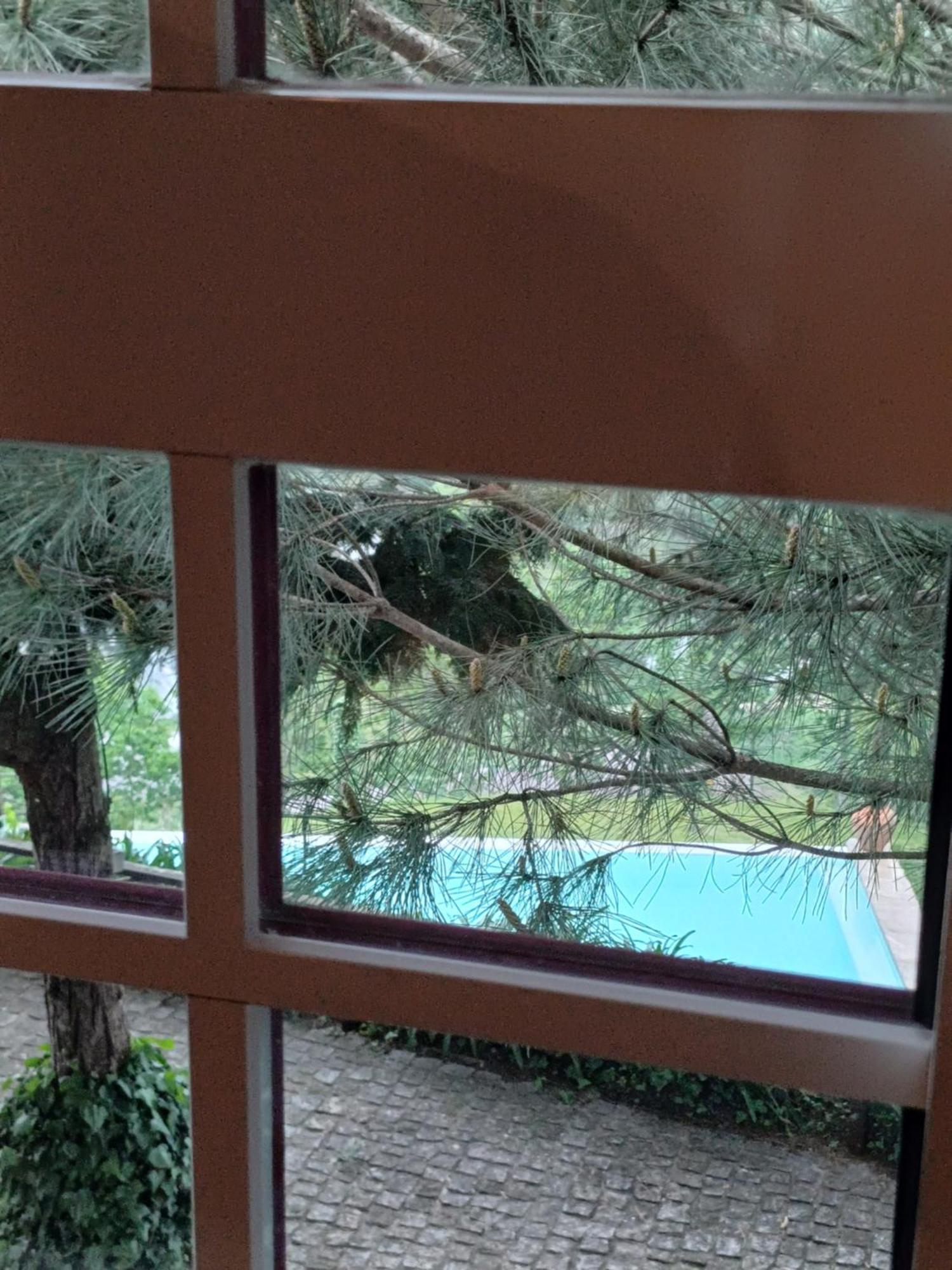 "Bouca Drigues" Casa Antiga De Pedra Com Piscina E Vista Rio Βίλα Amarante Εξωτερικό φωτογραφία