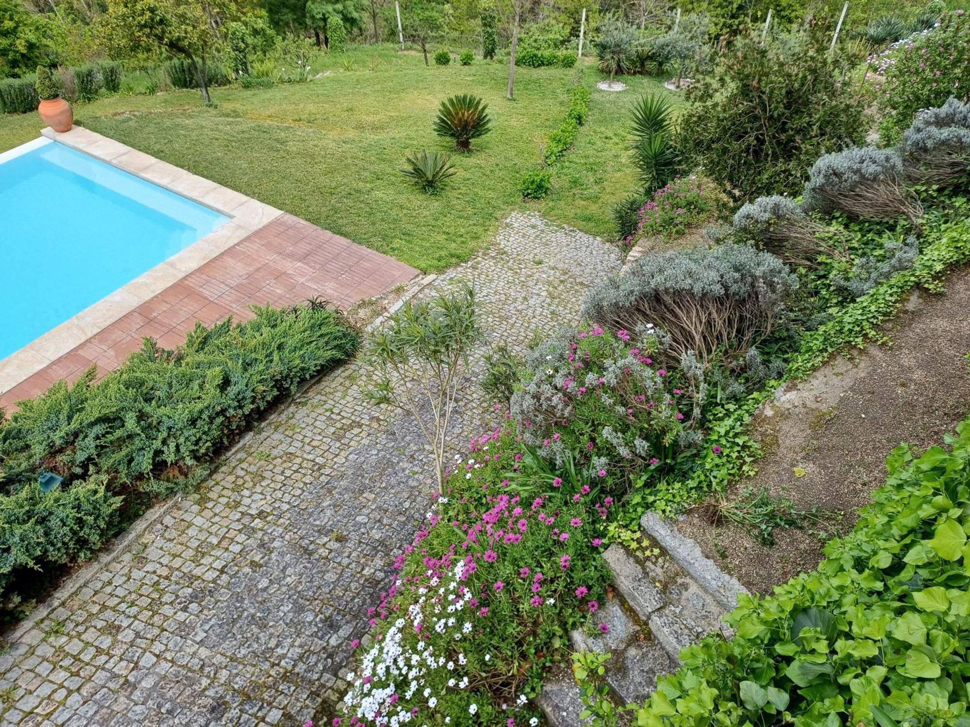 "Bouca Drigues" Casa Antiga De Pedra Com Piscina E Vista Rio Βίλα Amarante Εξωτερικό φωτογραφία
