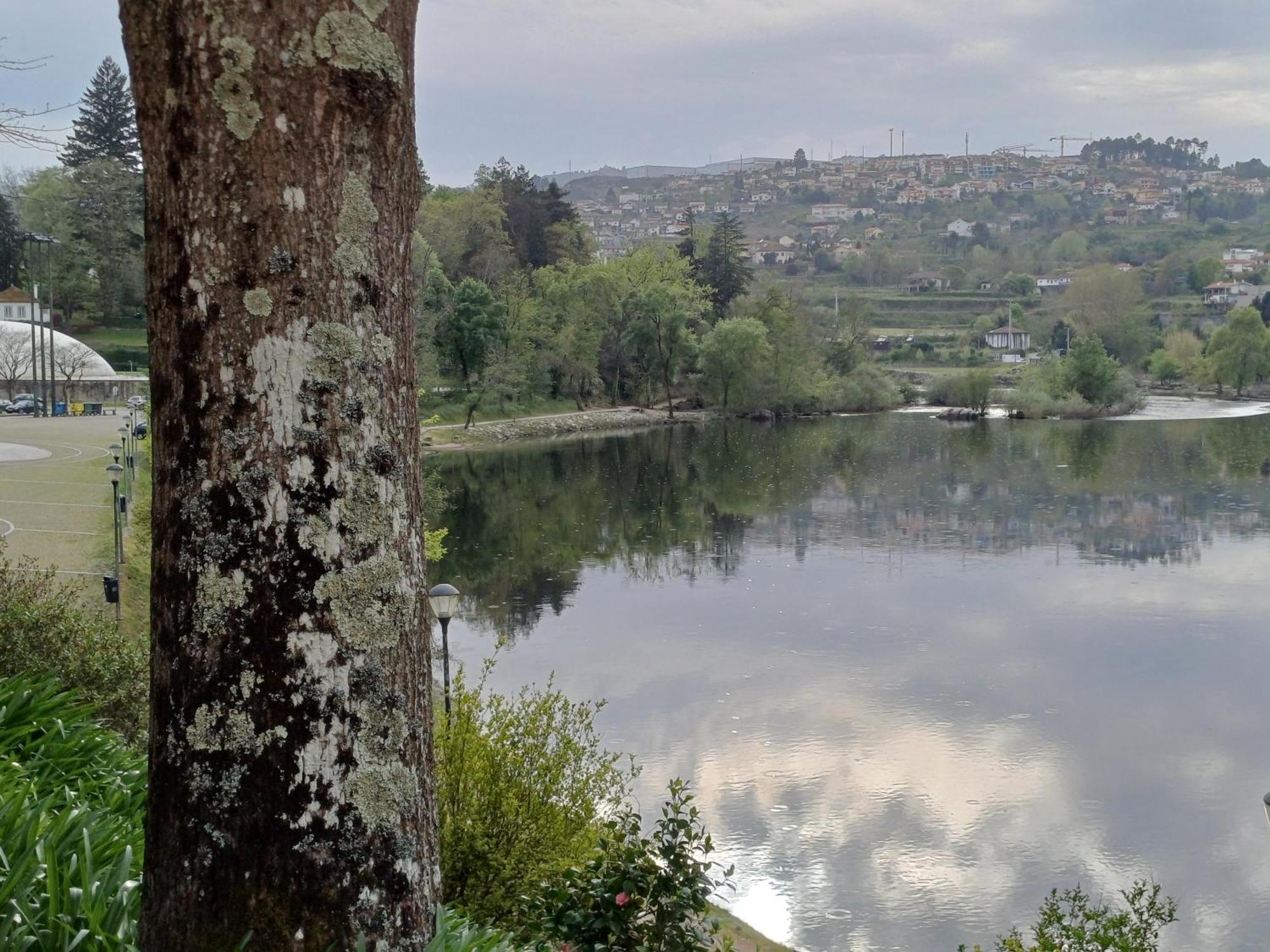 "Bouca Drigues" Casa Antiga De Pedra Com Piscina E Vista Rio Βίλα Amarante Εξωτερικό φωτογραφία